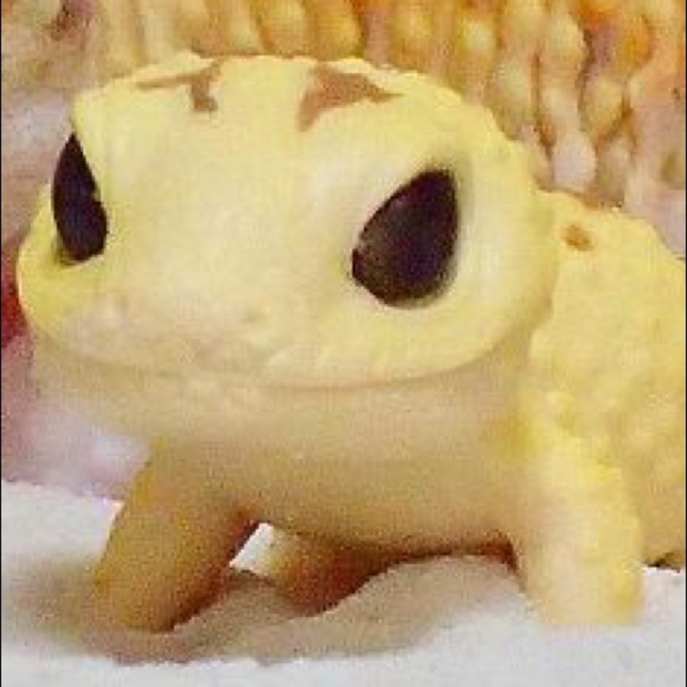 Meet your Posher, Yuan